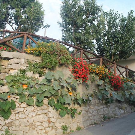 Casa Vacanze Chery Sorrento Dış mekan fotoğraf