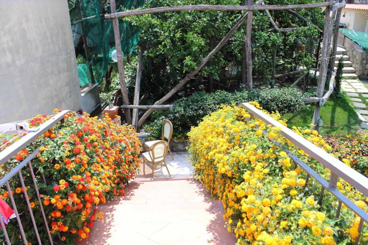 Casa Vacanze Chery Sorrento Dış mekan fotoğraf