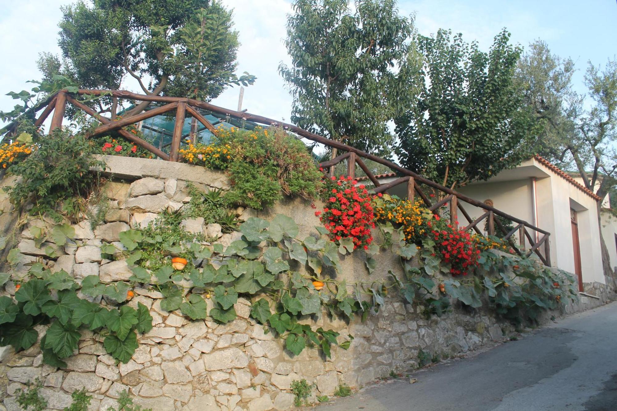 Casa Vacanze Chery Sorrento Dış mekan fotoğraf