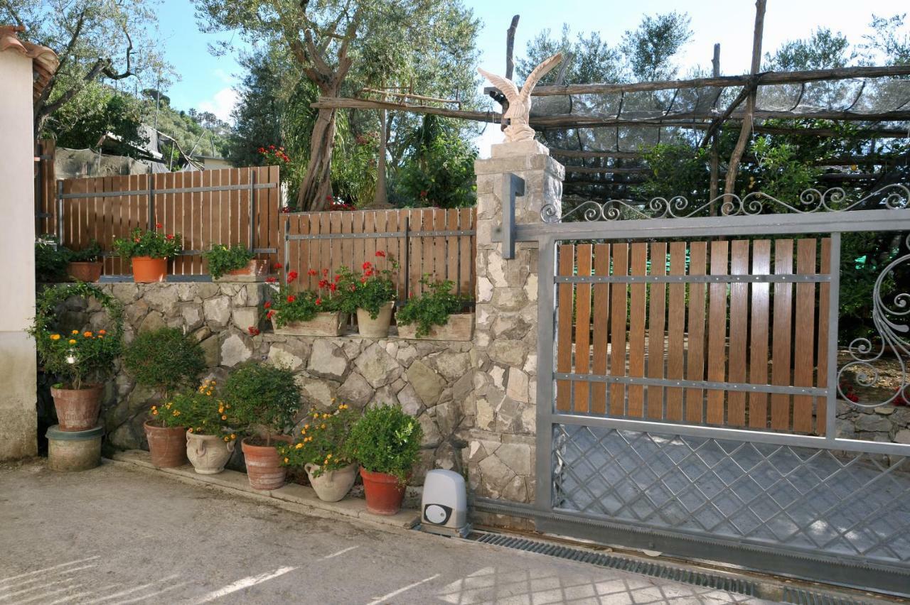 Casa Vacanze Chery Sorrento Dış mekan fotoğraf
