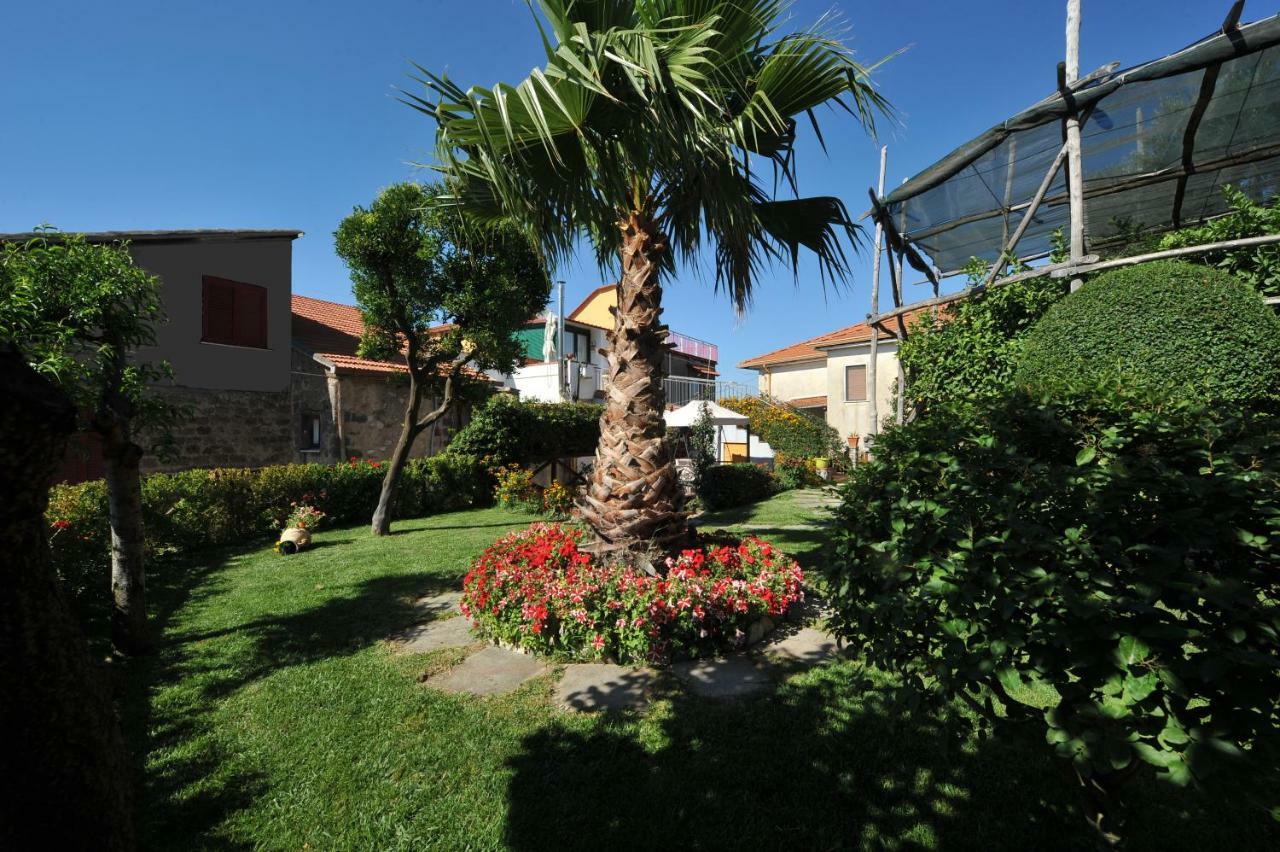 Casa Vacanze Chery Sorrento Dış mekan fotoğraf